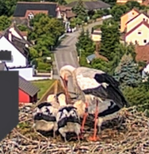 Screenshot_2025-06-09-08-59-49-605_com.android.chrome