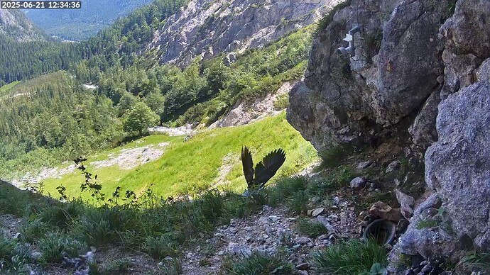 Bildschirmfoto vom 2025-06-21 12-34-56