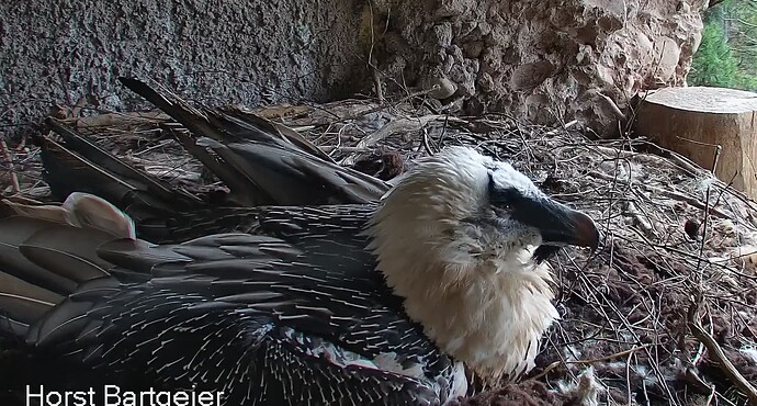 Morgenruhe  18.11.25