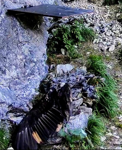 Screenshot_2025-06-14-11-36-01-056_com.android.chrome