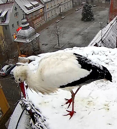 Screenshot_2023-12-01-08-04-45-814_com.android.chrome