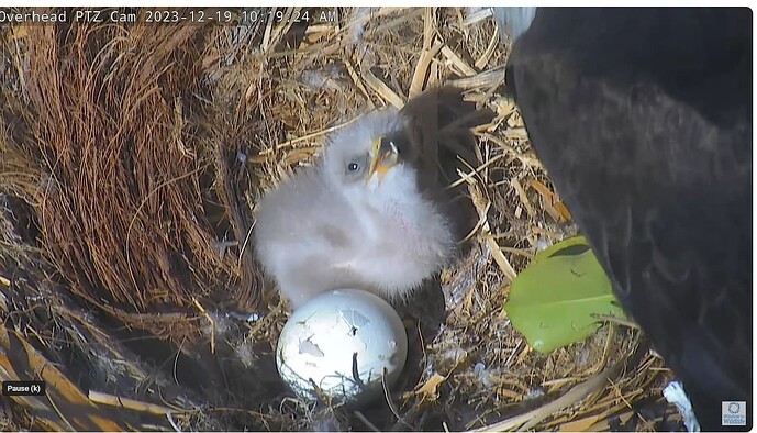 Screenshot 2023-12-19 163144