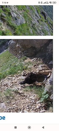 Screenshot_2023-06-03-07-16-07-339_com.android.chrome