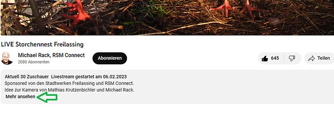 2023-03-31 07_55_58-LIVE Storchennest Freilassing - YouTube und 1 weitere Seite - Persönlich – Micro
