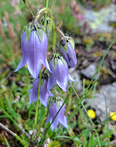 20260629_095754