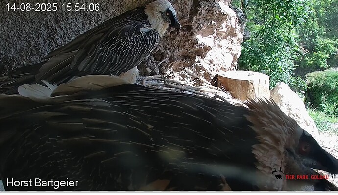 Trautes Heim, Glück zu zweit 14.05.25