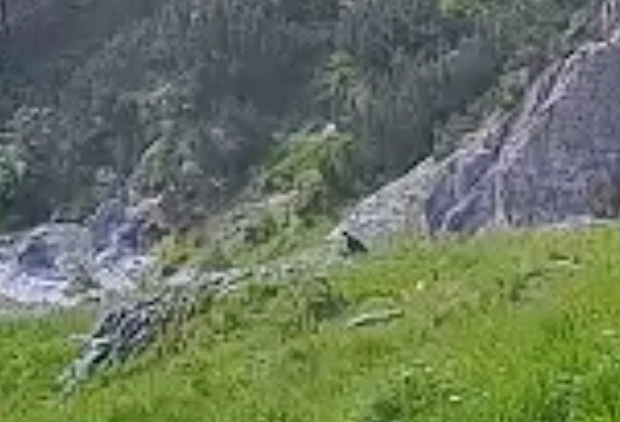 Screenshot_2025-07-04-07-36-38-806_org.mozilla.firefox