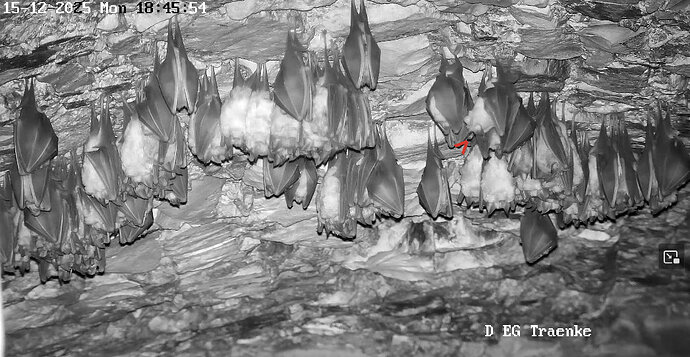 Vollbildaufzeichnung 15.12.2025 184600