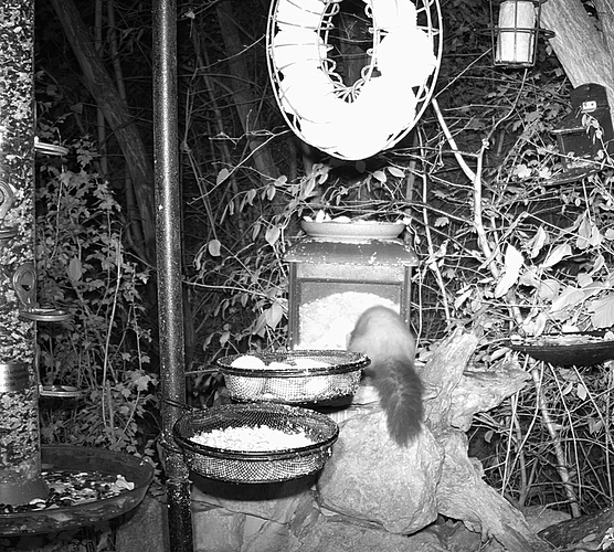 Screenshot 2025-11-05 000908 LBV Futtercam