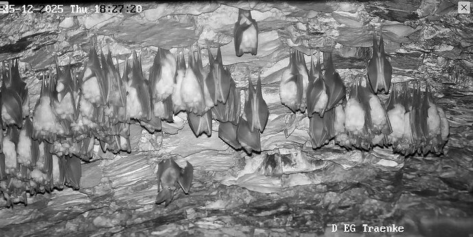 Vollbildaufzeichnung 25.12.2025 182732