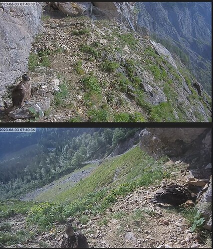 Screenshot_20230603_074100_Samsung Internet