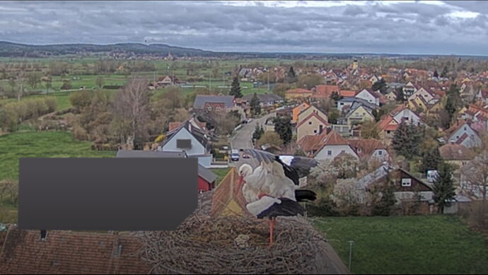 Snap_2023.04.01_09h27m59s_009_