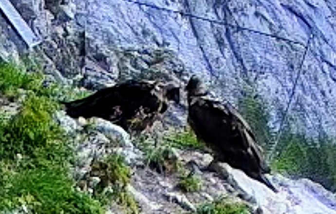 Screenshot_2025-06-23-19-53-35-065_com.android.chrome