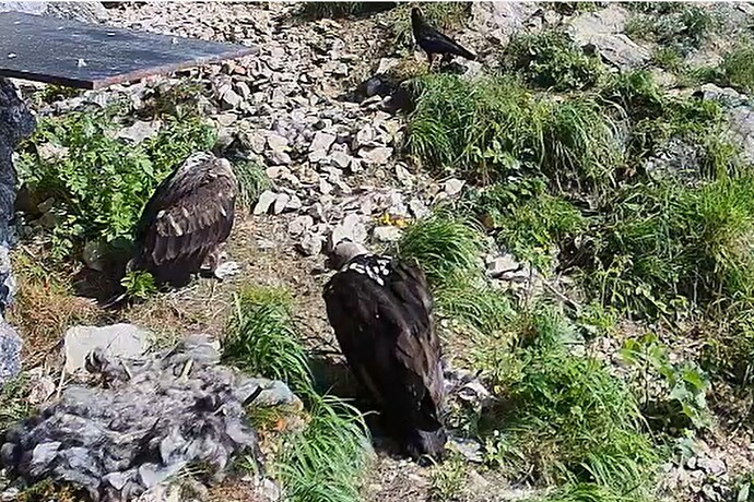 Dreier-WG beinander 10.06.25