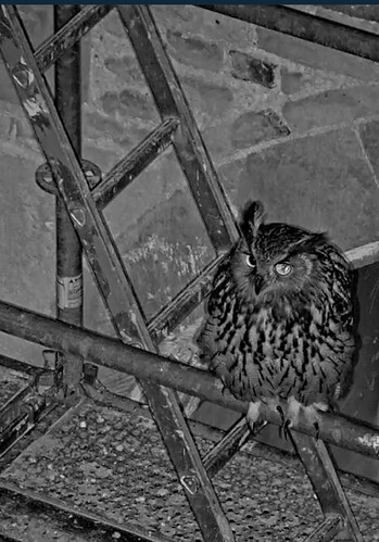 Screenshot_20260118_055646_Samsung Internet