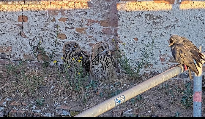 Screenshot_20250628_162244_YouTube