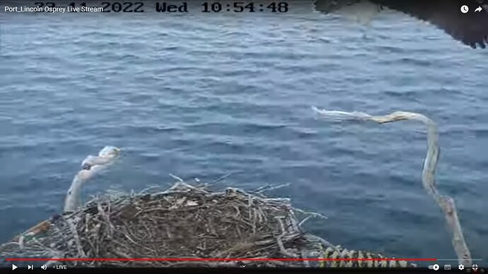 os3_221123_Zoe_flight3