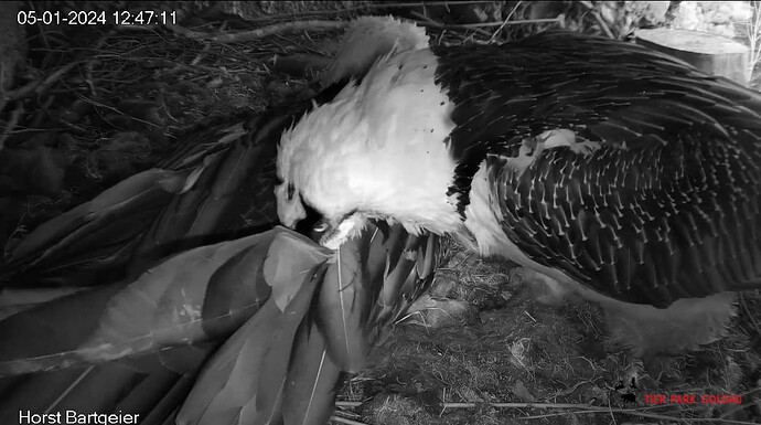 Screenshot_20240105-124817~2