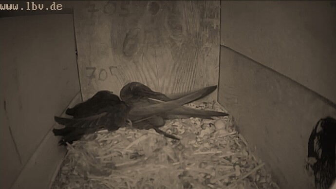 Screenshot_20250710_234540_Opera