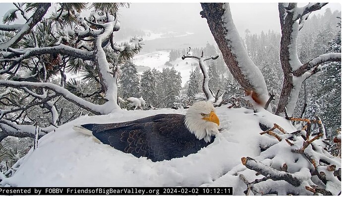 Screenshot 2024-02-02 191243