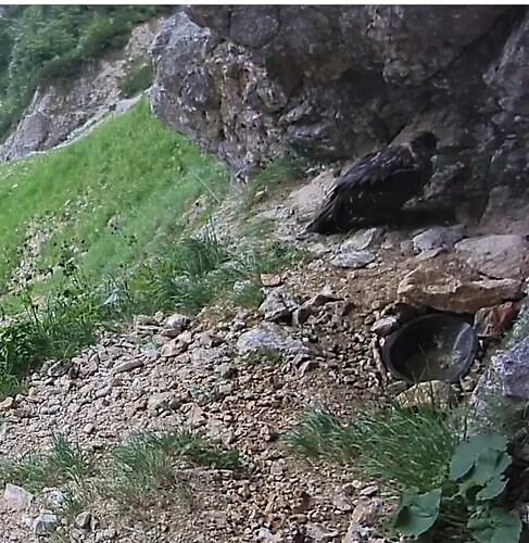 Screenshot_20230623-145515~3