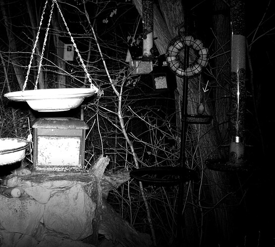 Screenshot_20221224-072957_Samsung Internet