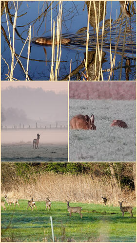 20260320_154754-COLLAGE