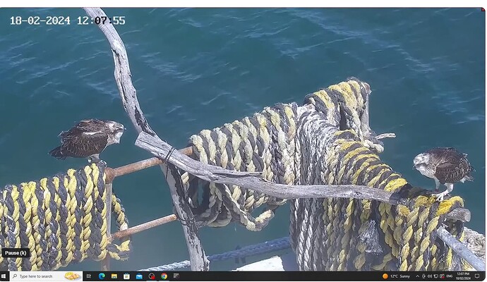 Screenshot 2024-02-18 143747