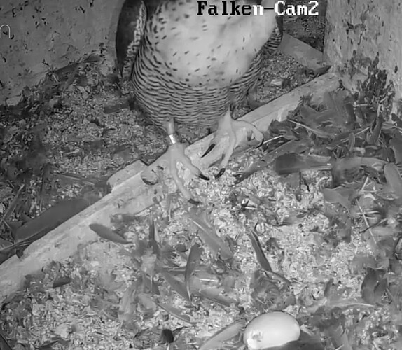 Screenshot_20230603-215021~2