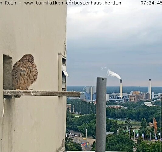 VideoCapture_20240615-145135