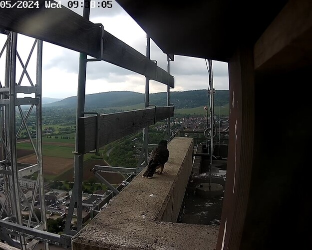 Screenshot_20240508_093826_Chrome