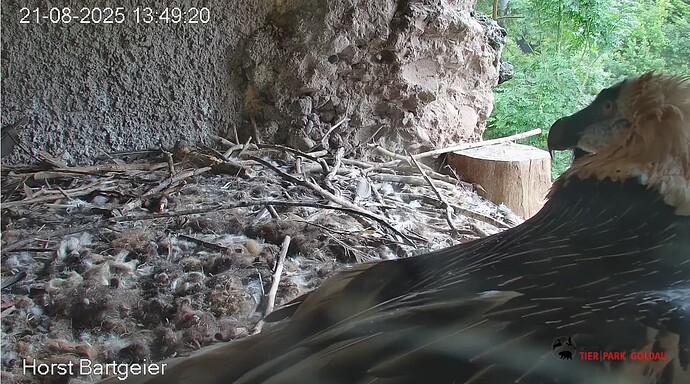 Screenshot_20250821-135023~2