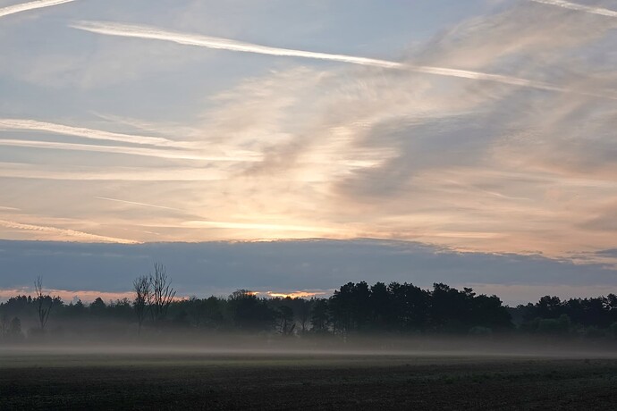 DSC02680_1