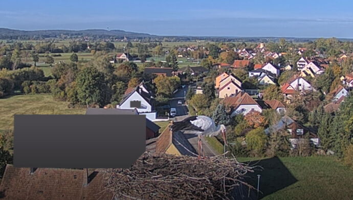 Snap_2023.10.22_10h17m49s_006_