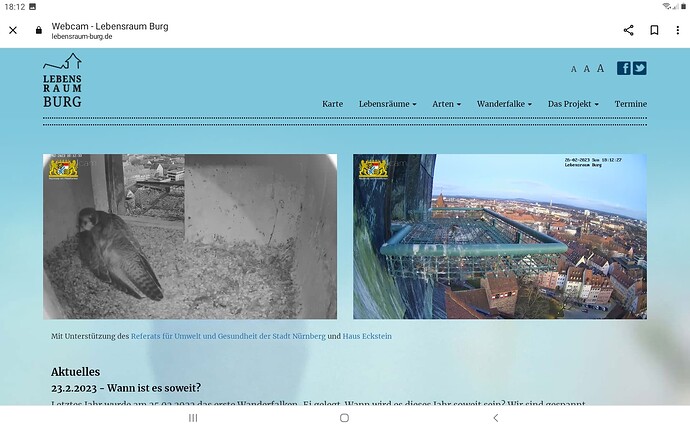 Screenshot_20230226-181256_Chrome