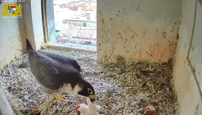 Screenshot_20230405-165054_Samsung Internet