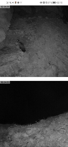 Screenshot_20230603_021517_com.android.chrome