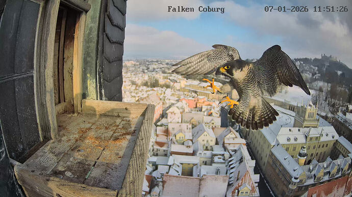 CAM3_Camera1_CAM3_20260107115126_458887