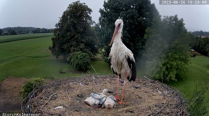 Screenshot_20250626_192857_YouTube