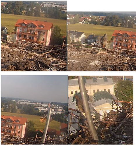 Snap_2024.08.31_09h11m11s_008_