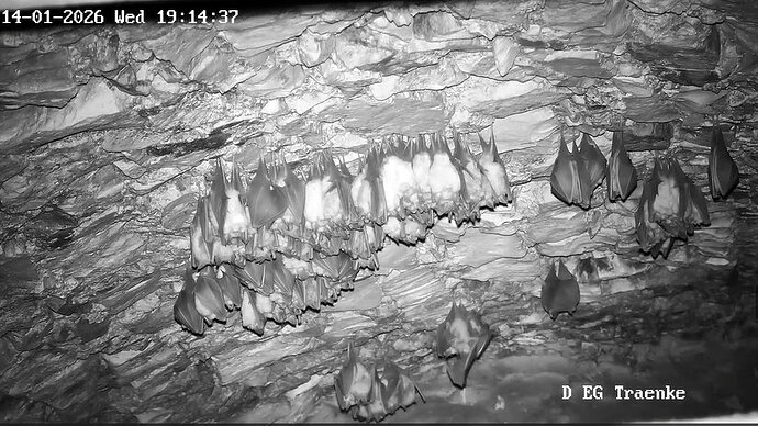 2026-01-14_4 ab 19.00 weiter zunehmende Aktivität