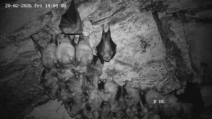 04 20260220140409055