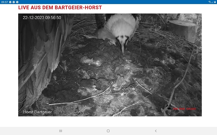 Screenshot_20231222-095715_Chrome