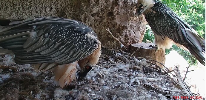 Mascha und Hans 26.06.25