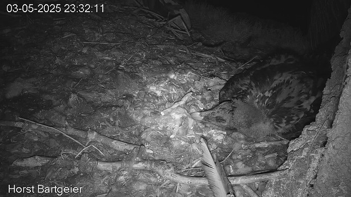 Screenshot 2025-05-03 232907