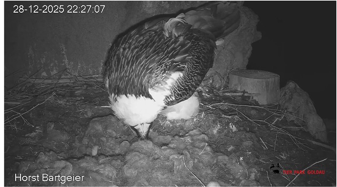 Screenshot_20251228-222811~2