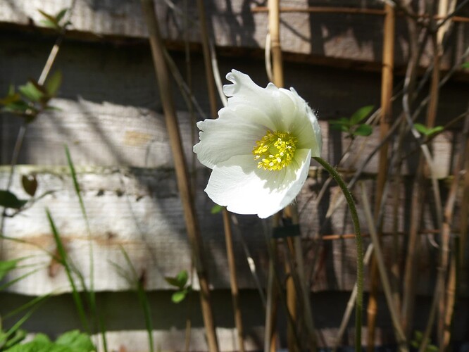 P1050610