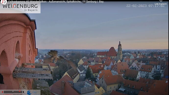 Snap_2023.02.22_07h19m30s_008_