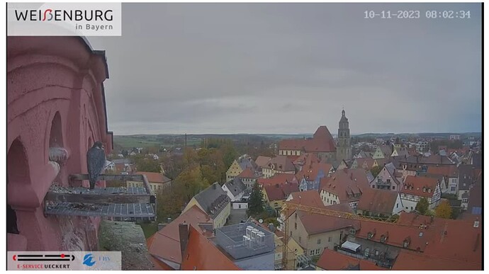 Screenshot_20231110-080243~2