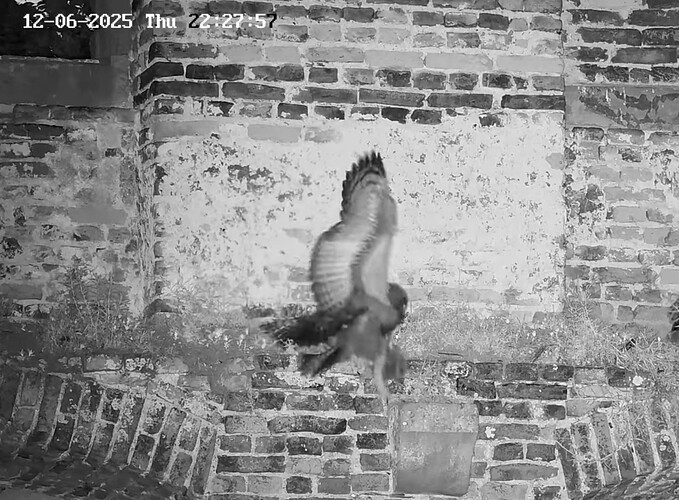 Screenshot_20250612_233518_YouTube